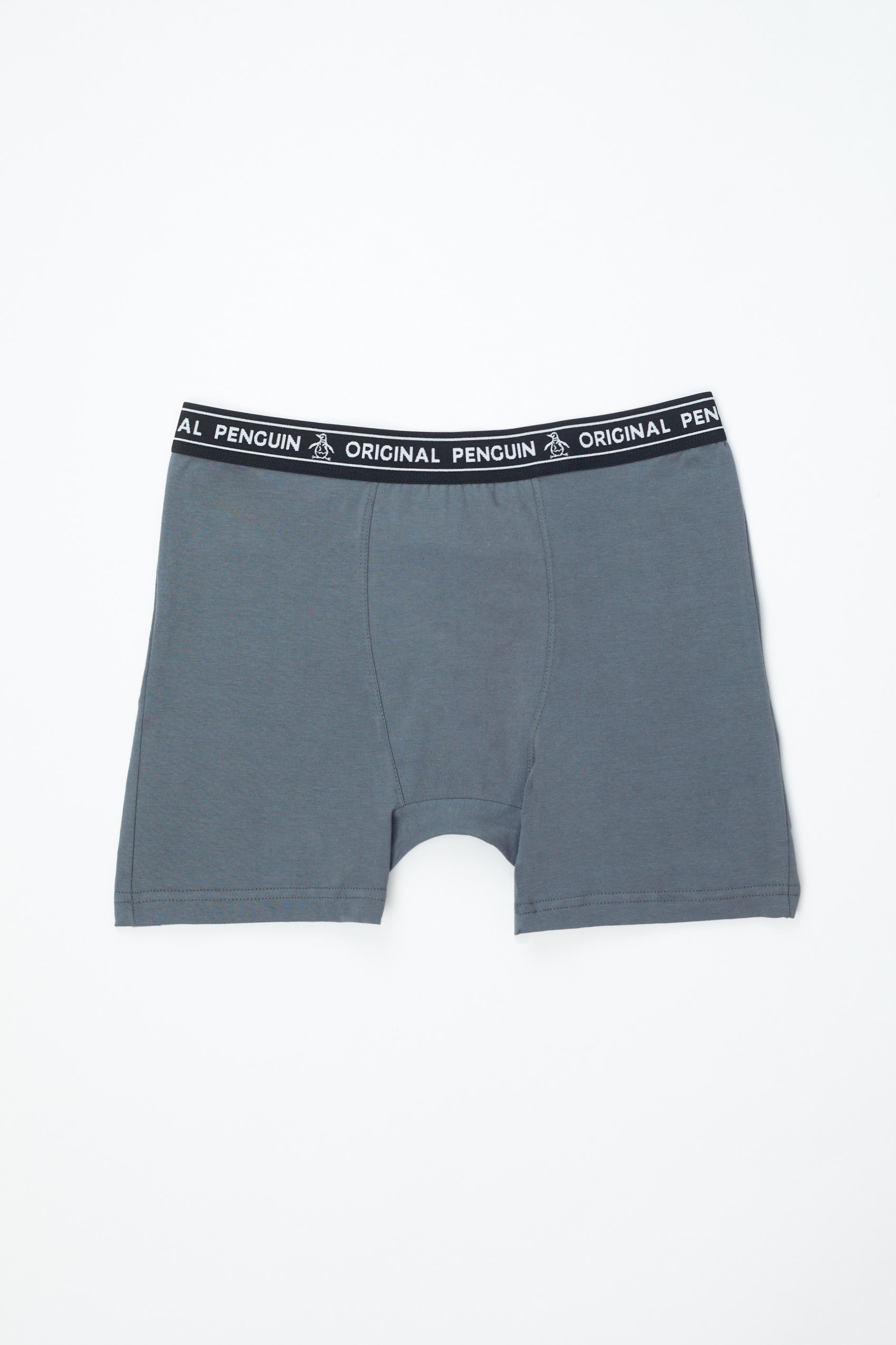 Boxer de hombre liso gris