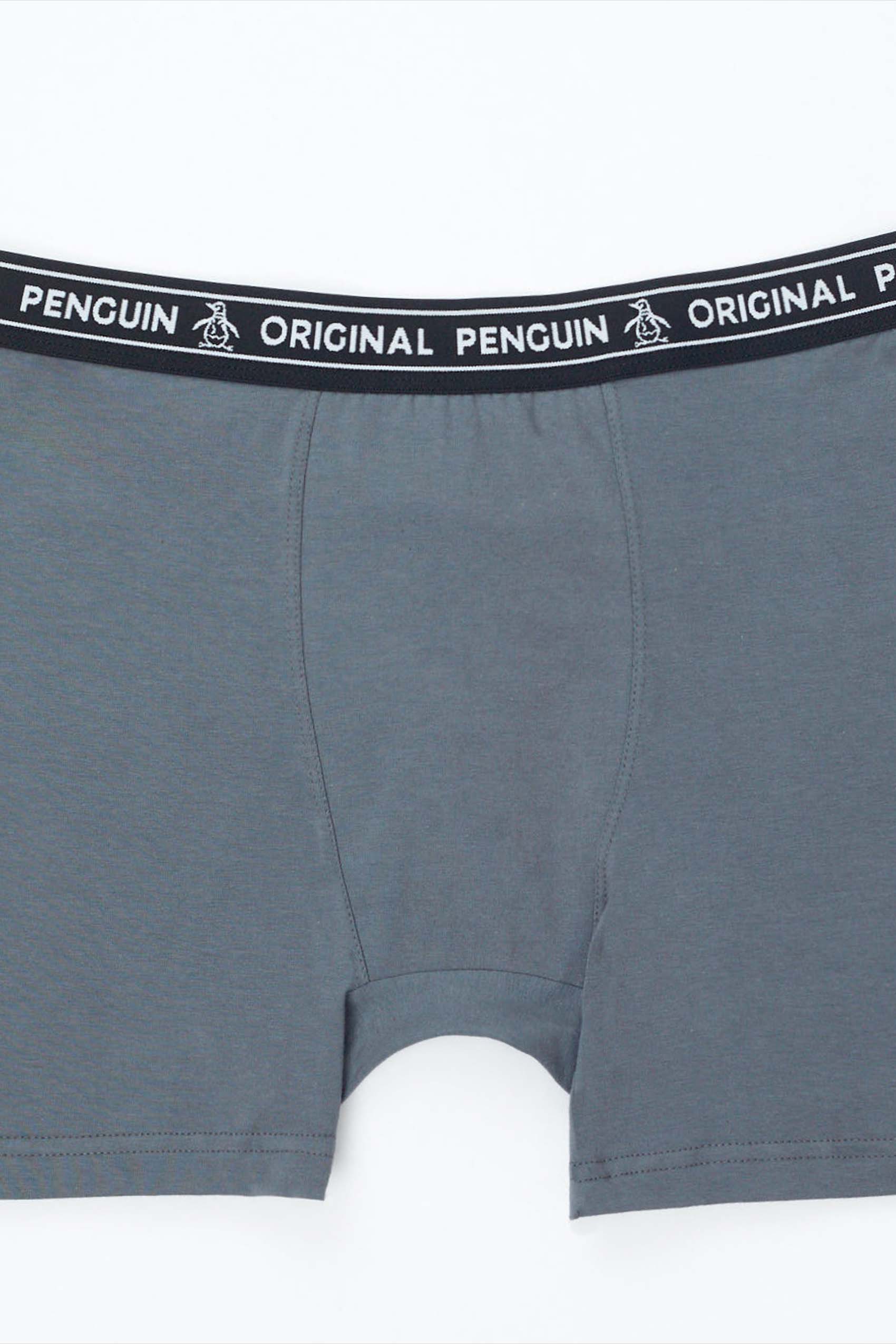 Boxer de hombre liso gris