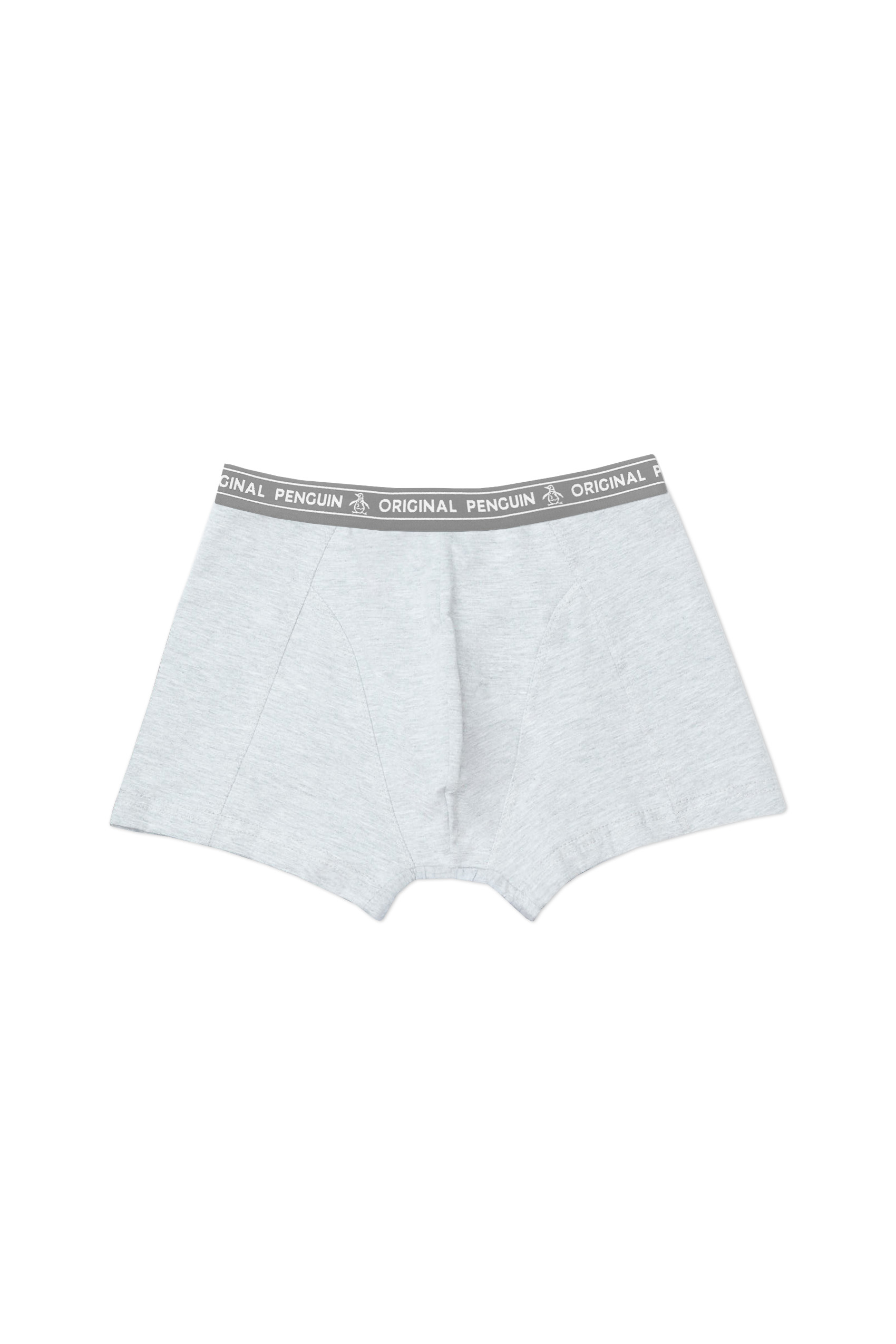 Boxer de hombre gris