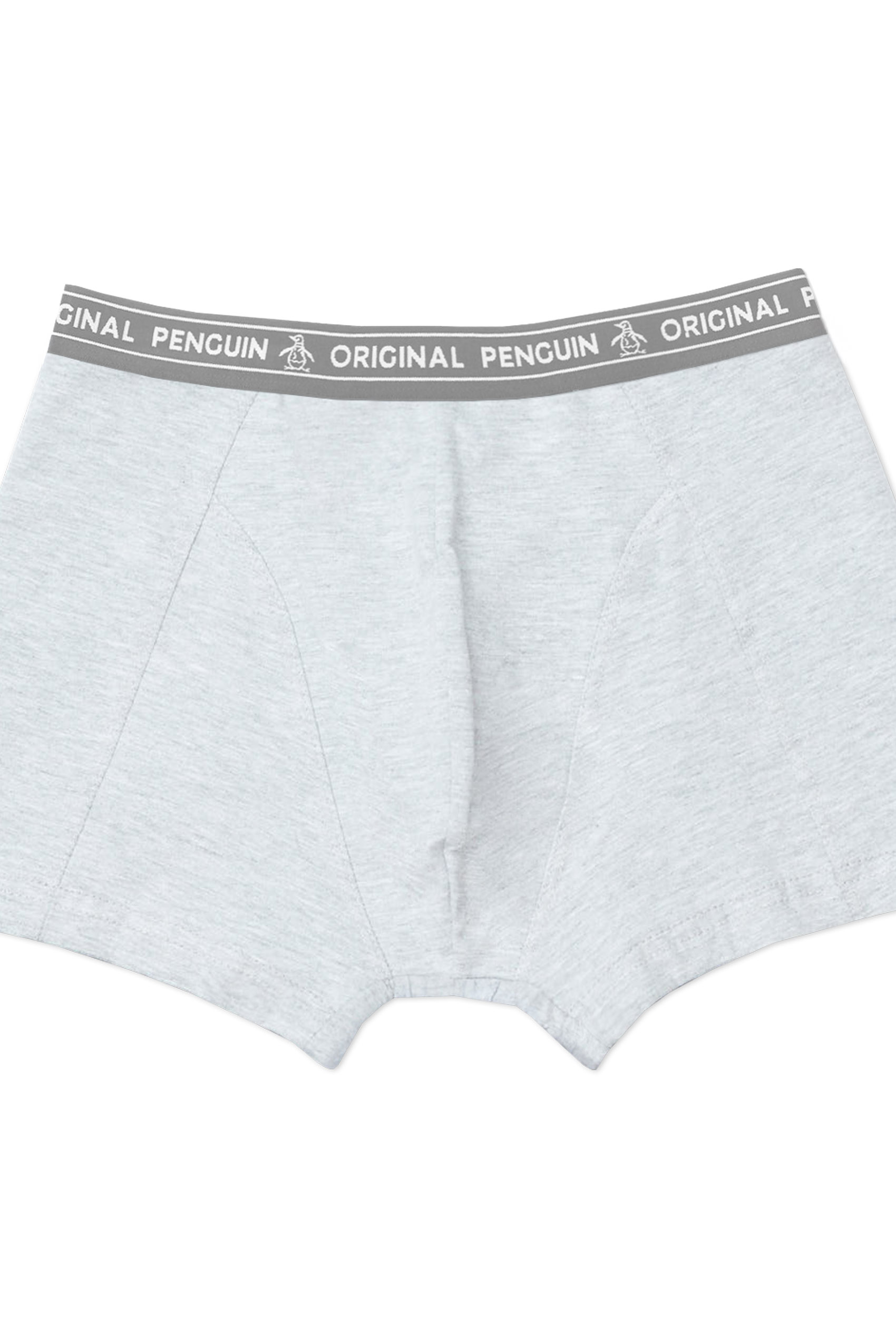 Boxer de hombre gris