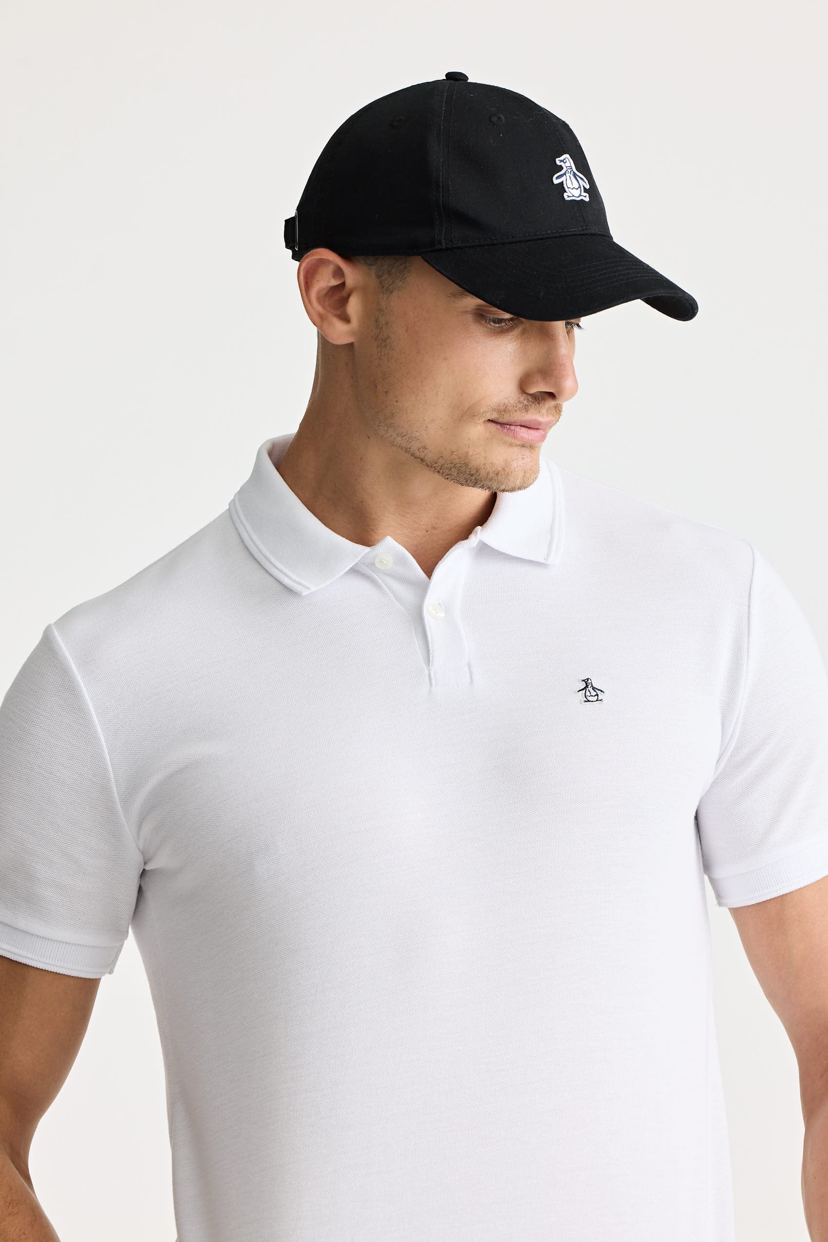 Polos Basicas