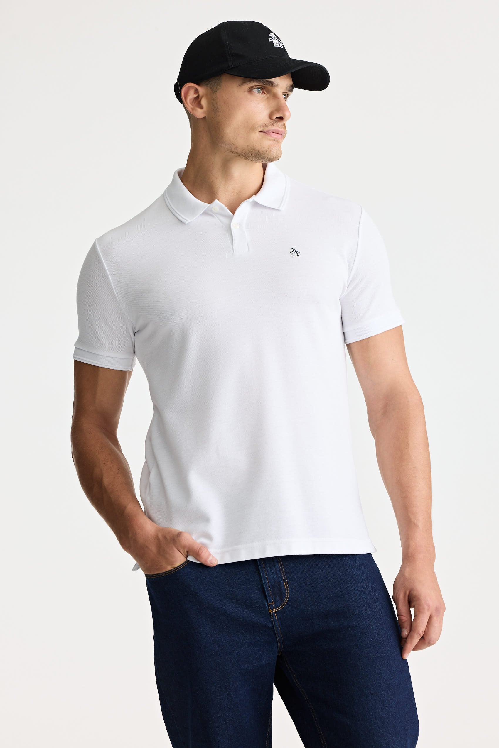 Polos Basicas