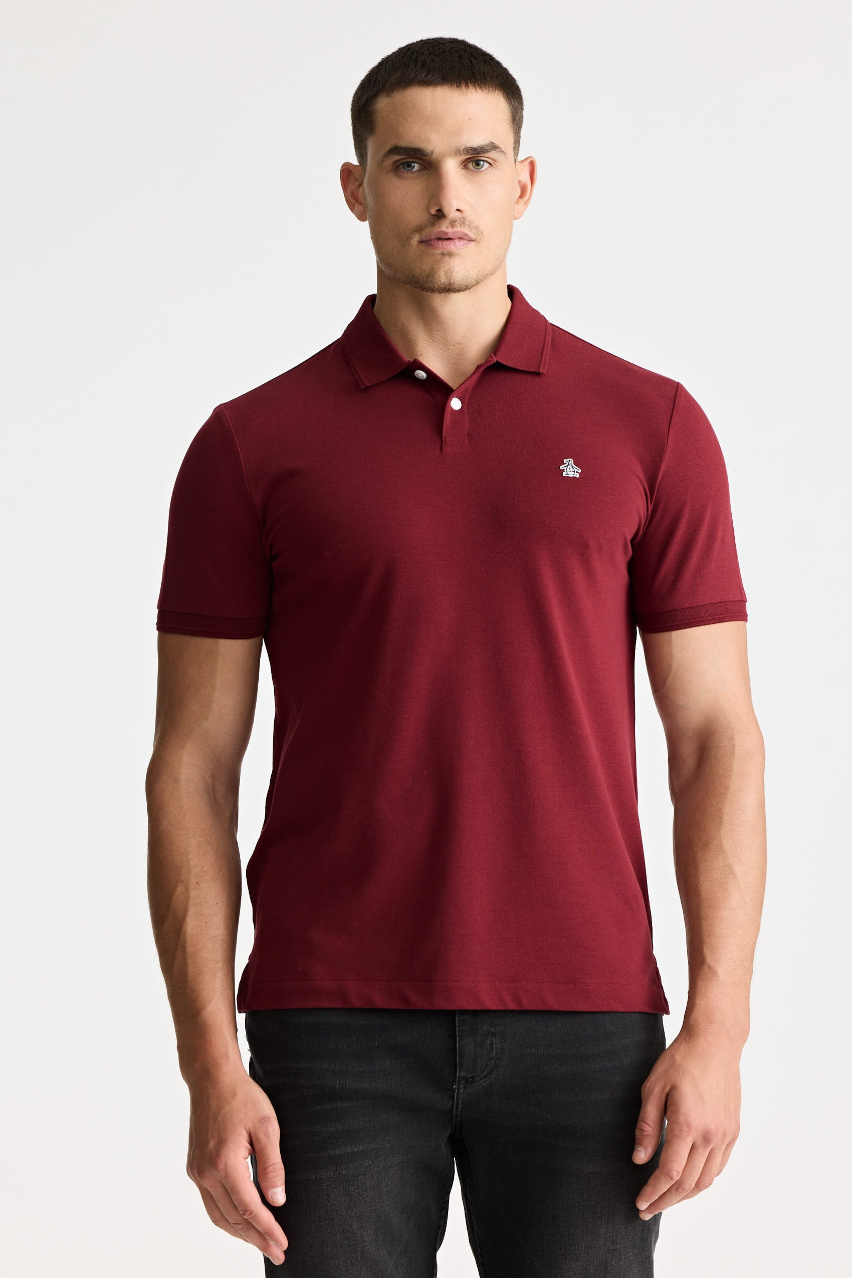 Polos Basicas