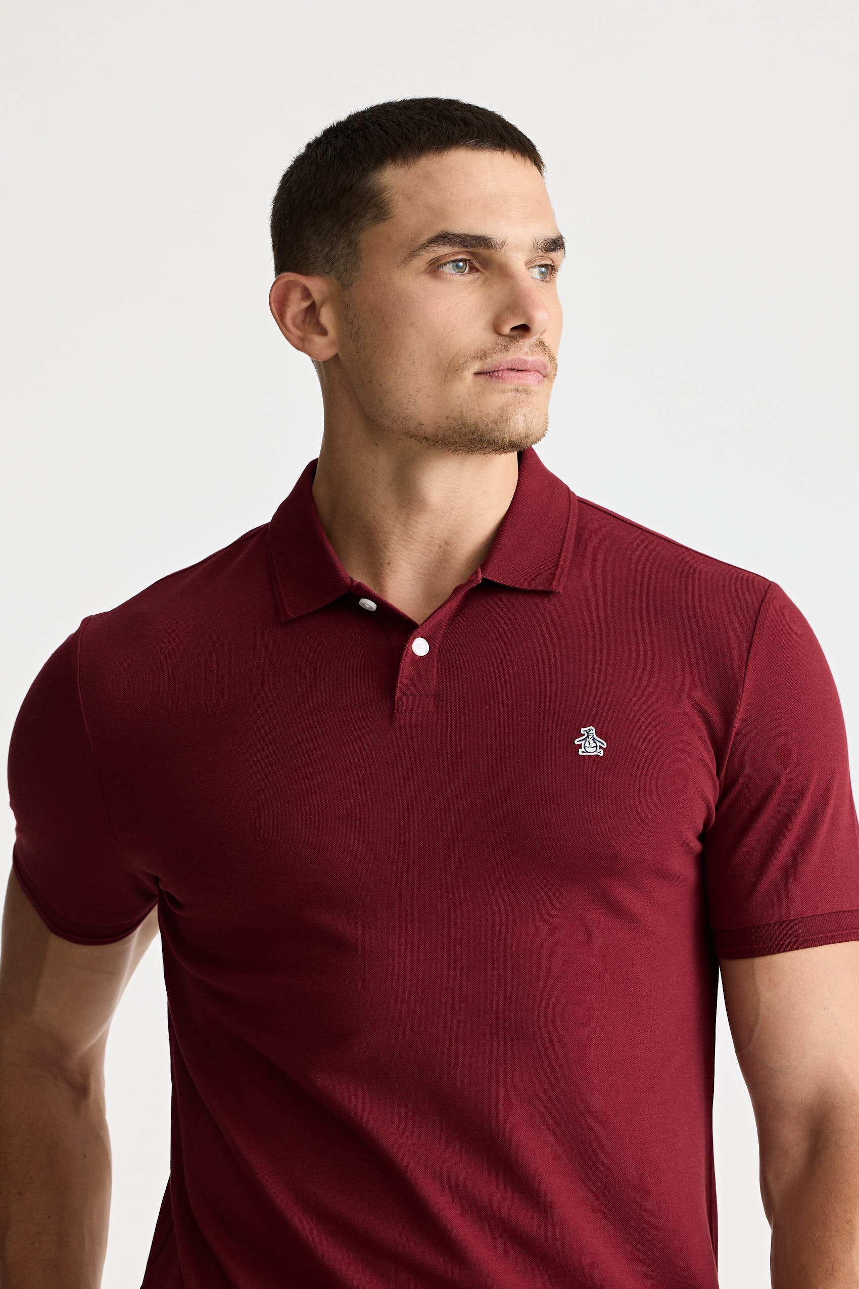 Polos Basicas