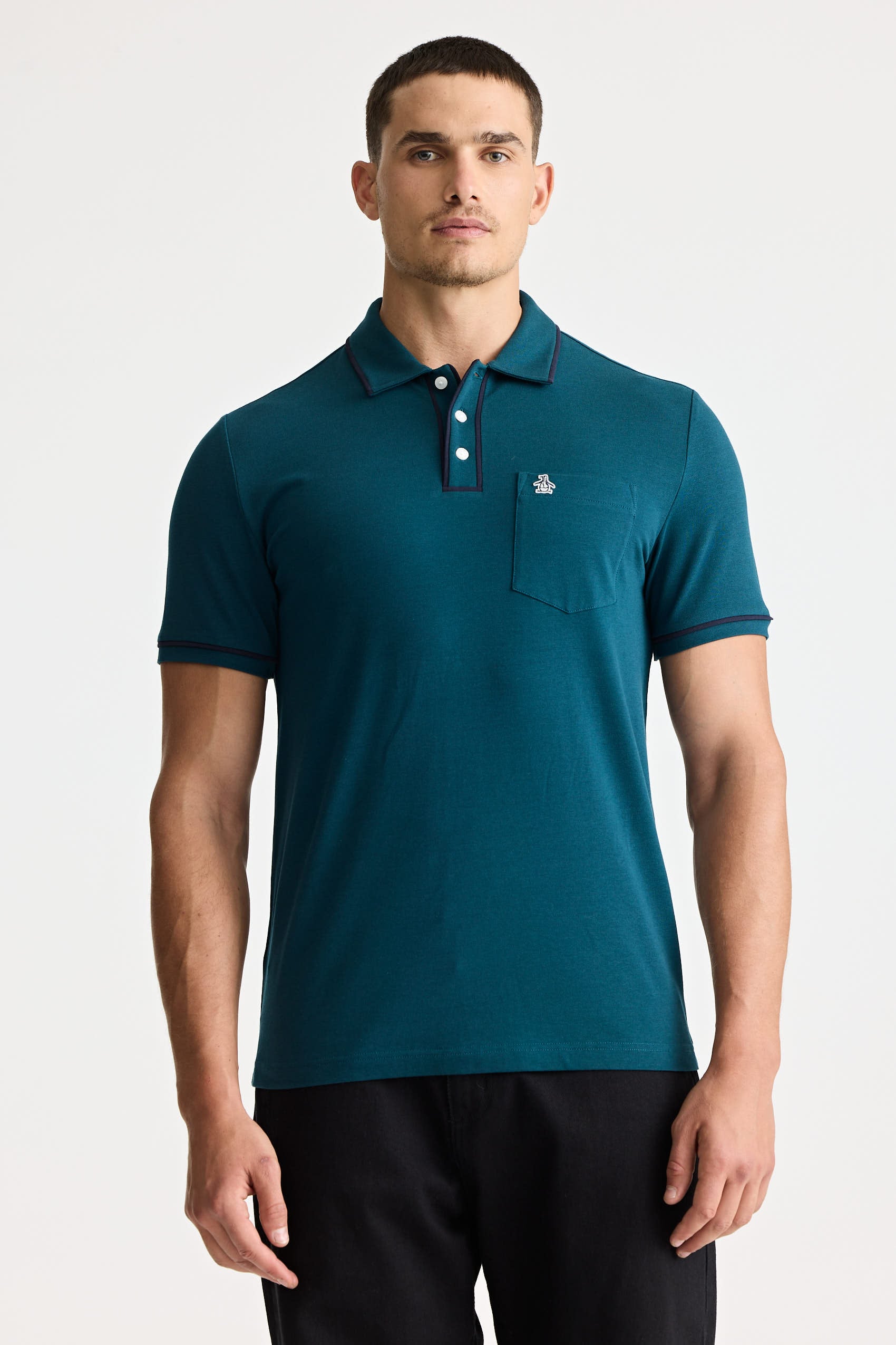 Polos Basicas
