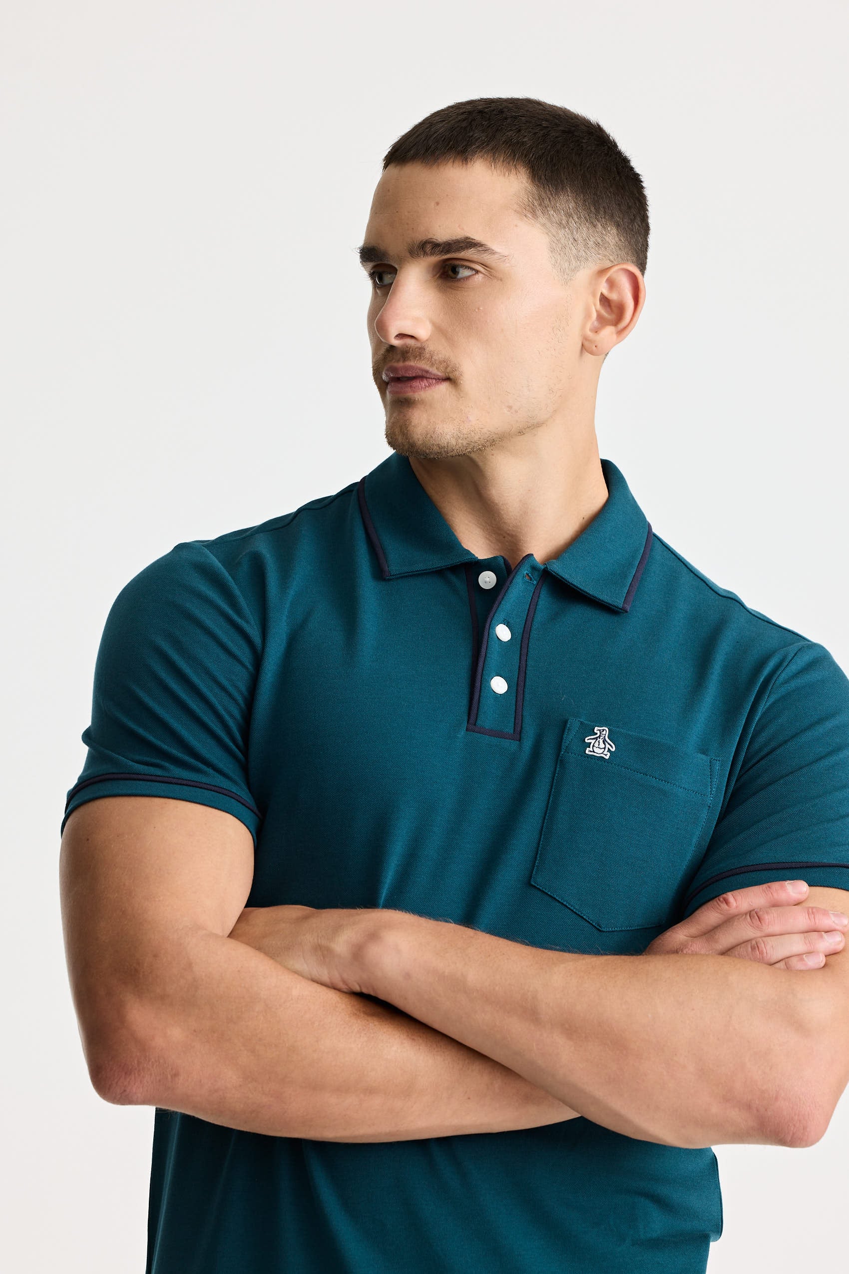 Polos Basicas