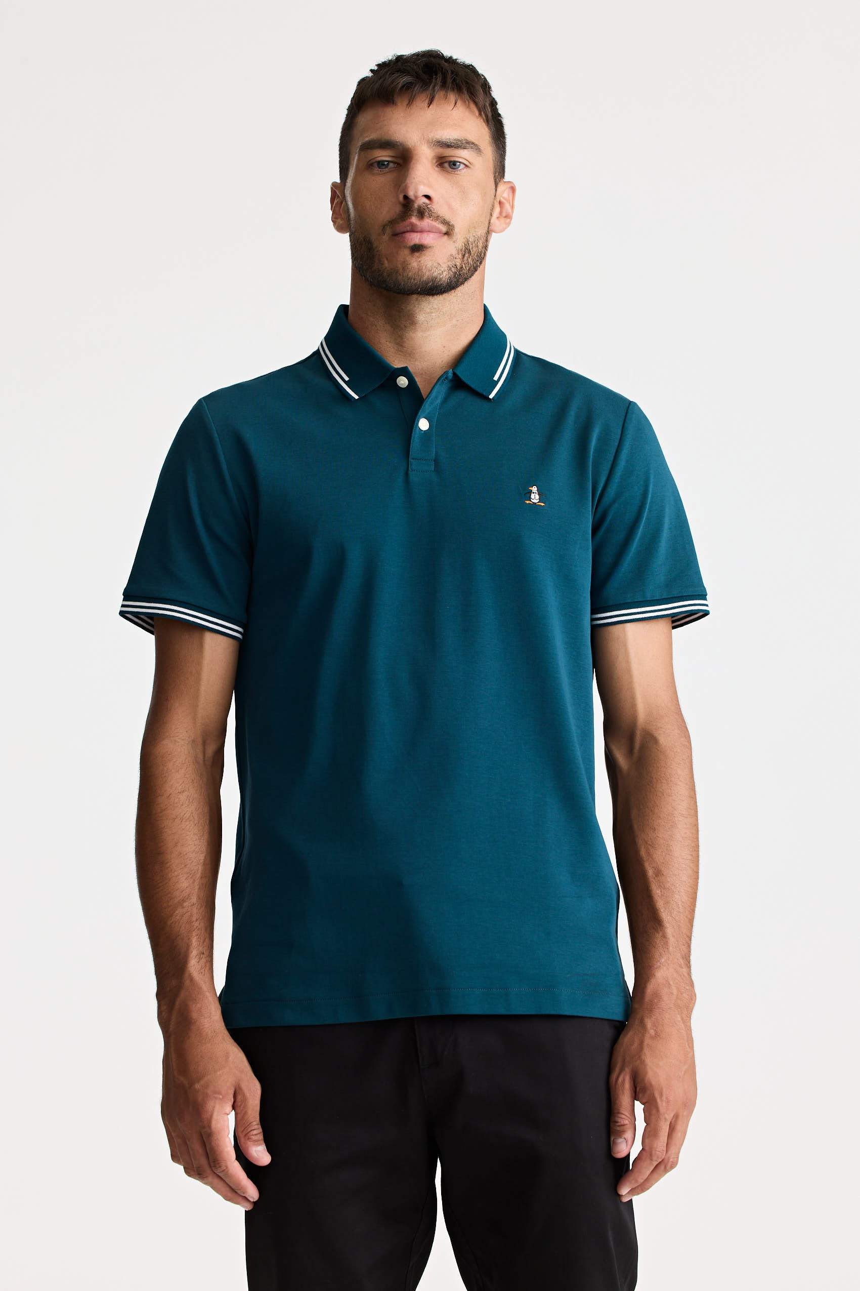 Polos Basicas